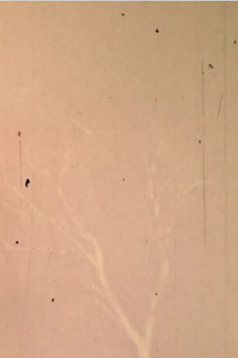 The Lull the Going poster background