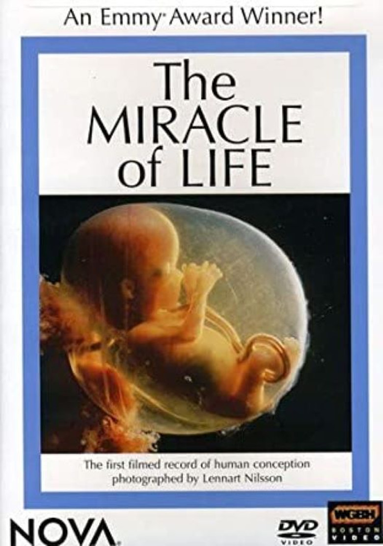 The Miracle of Life poster background