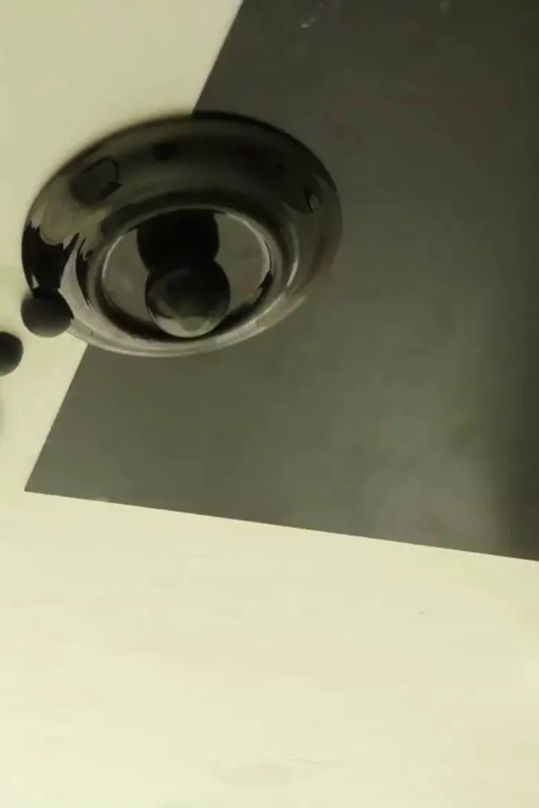 AANAATT poster background