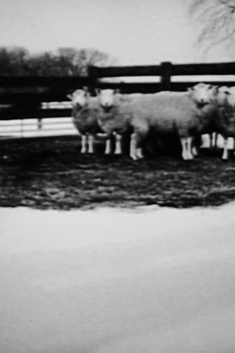 Families poster background