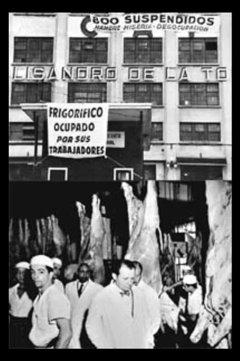 Carne Viva poster background