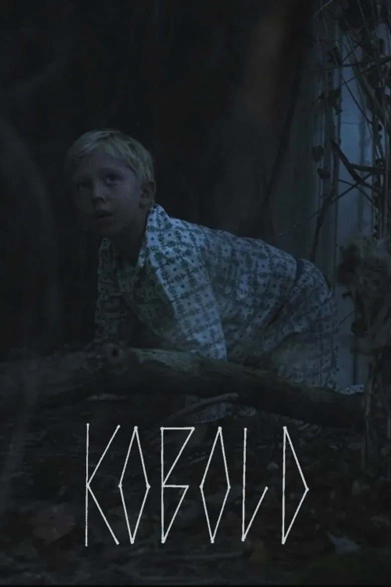 Kobold poster background