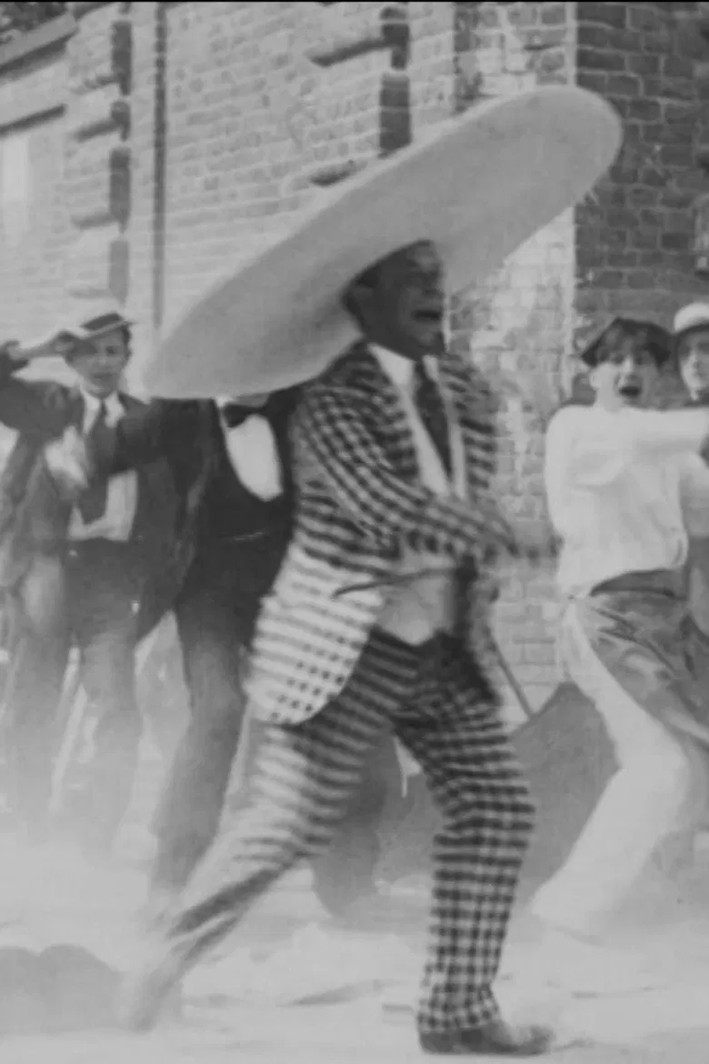 Wide Brimmed Hats Are Fashionable poster background