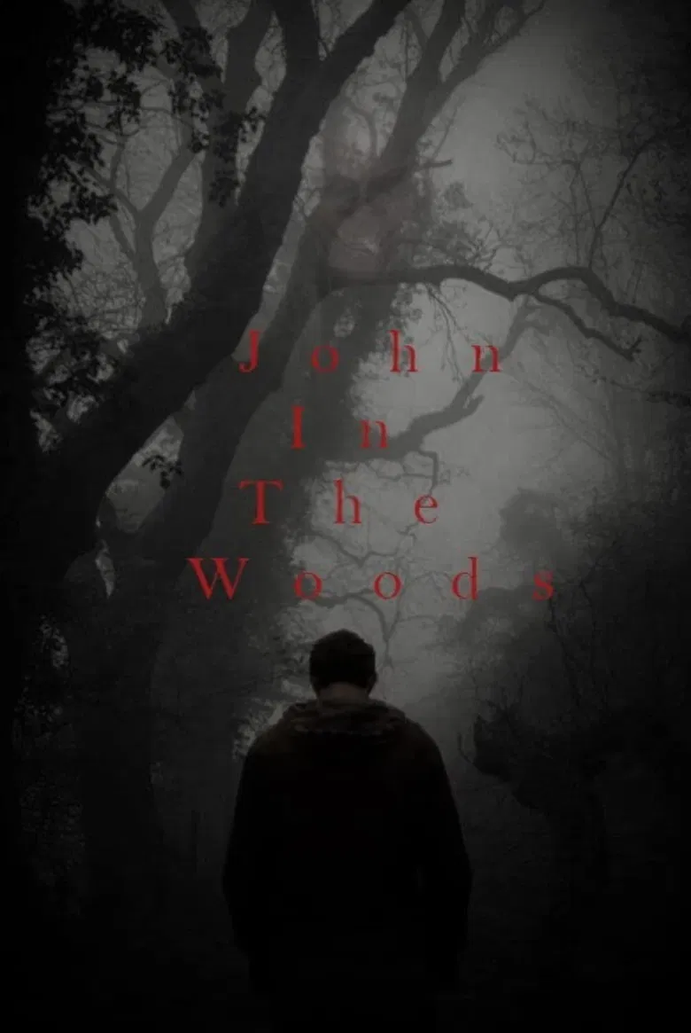 John in the Woods poster background