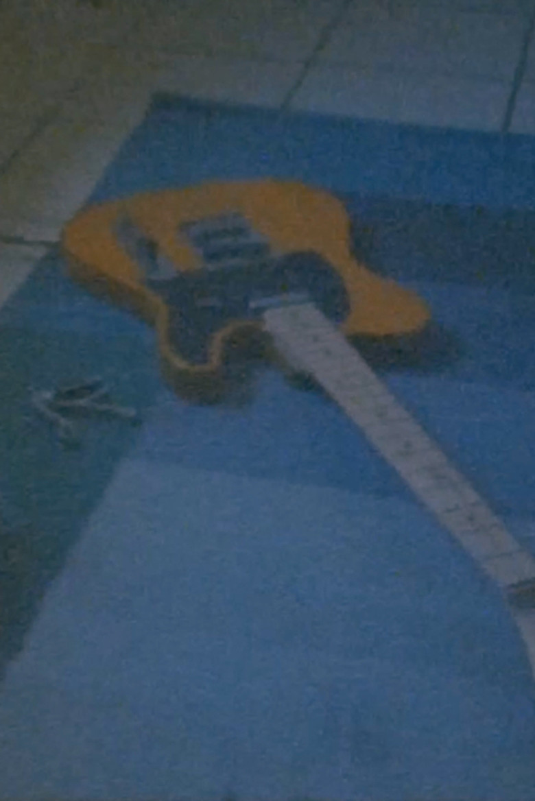 CATSIT commands poster background