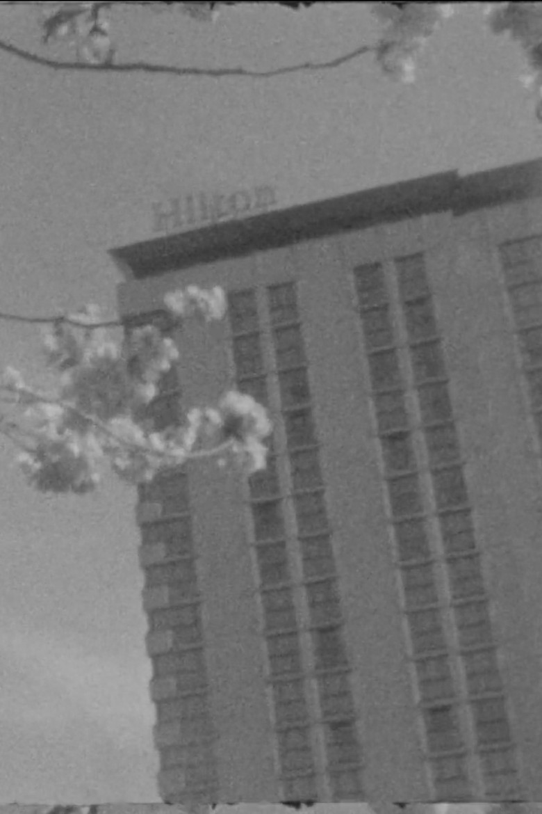 S. for L. poster background