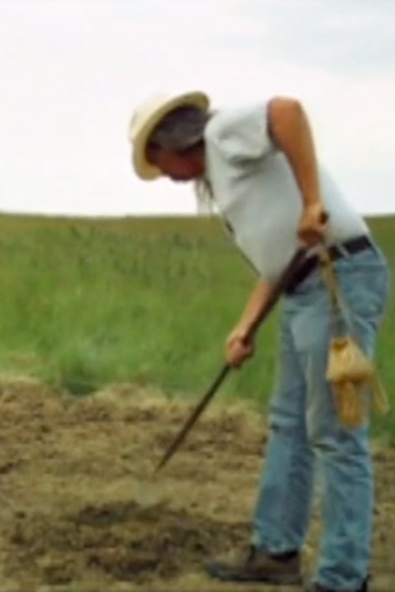 The Garden poster background