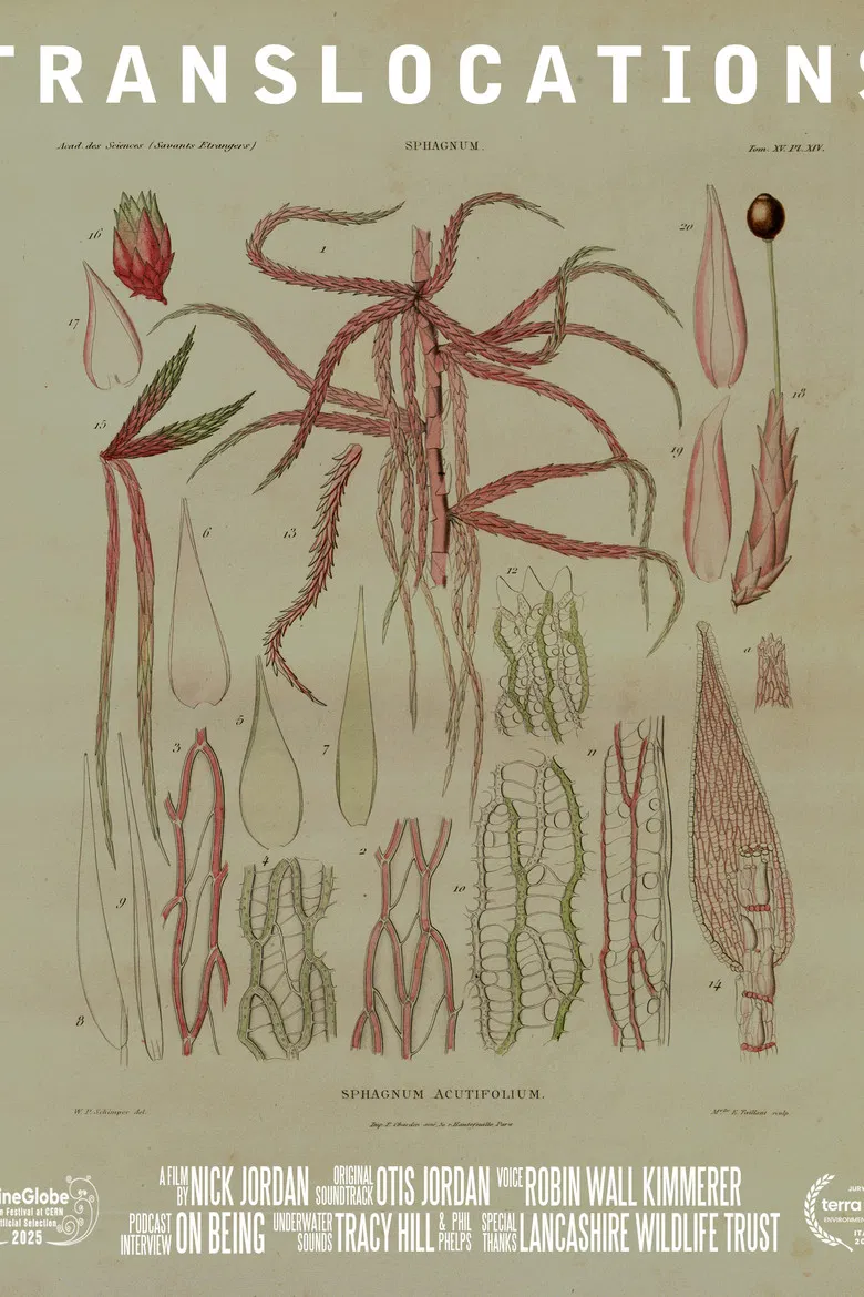 Translocations poster background