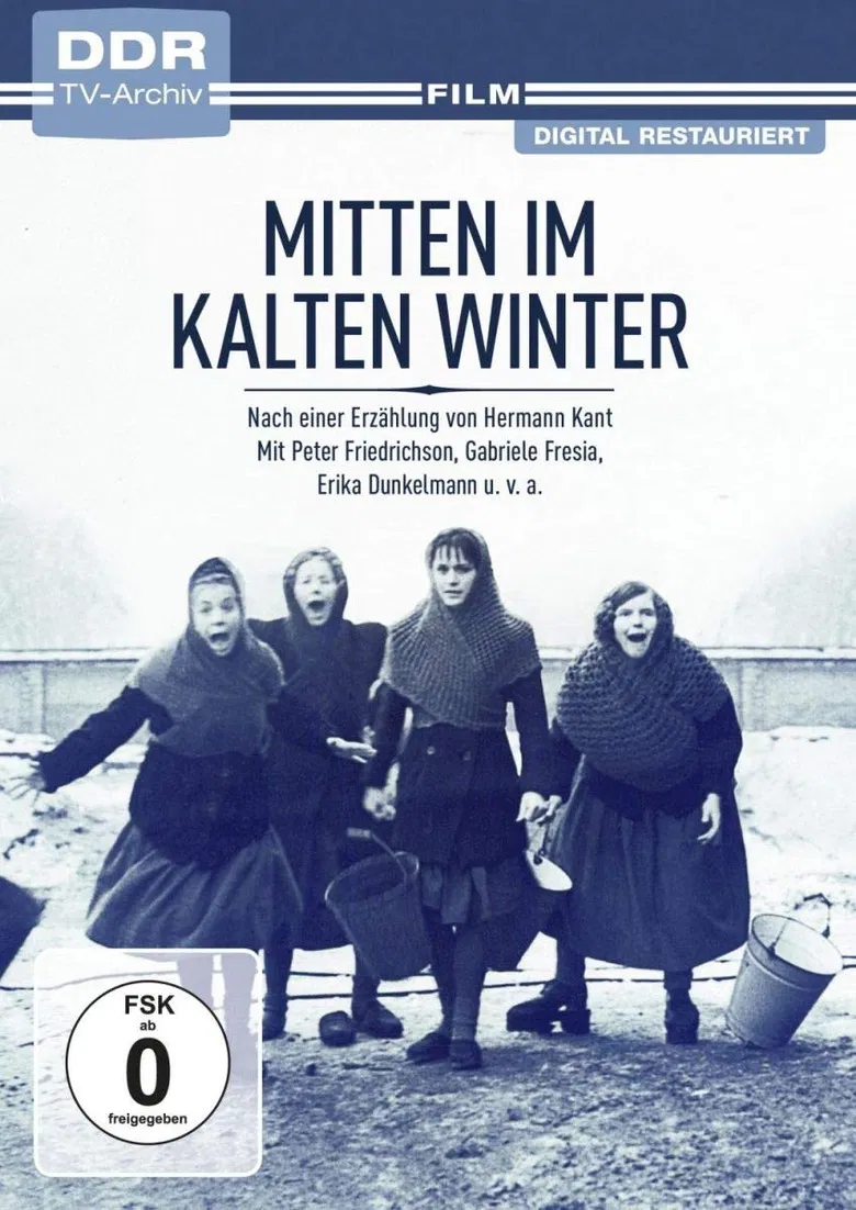 Mitten im kalten Winter poster background