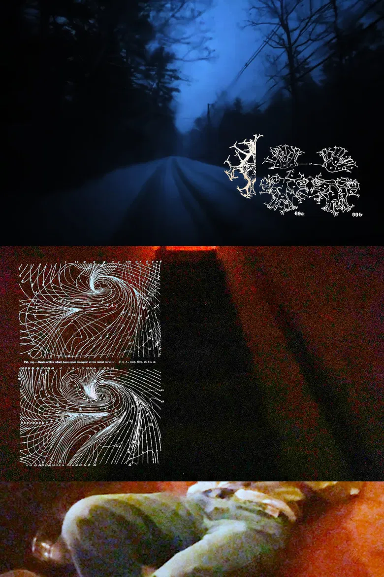 In The Slit Throat poster background