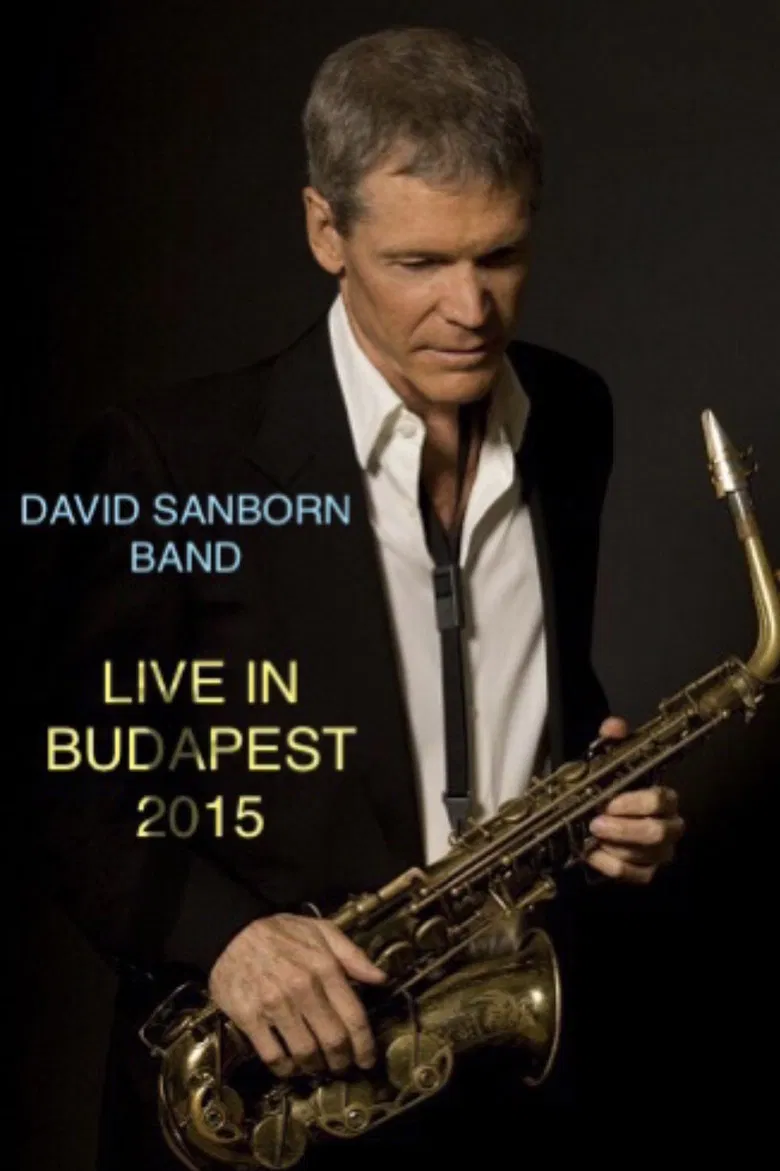 David Sanborn Band Live in Budapest 2015 poster background