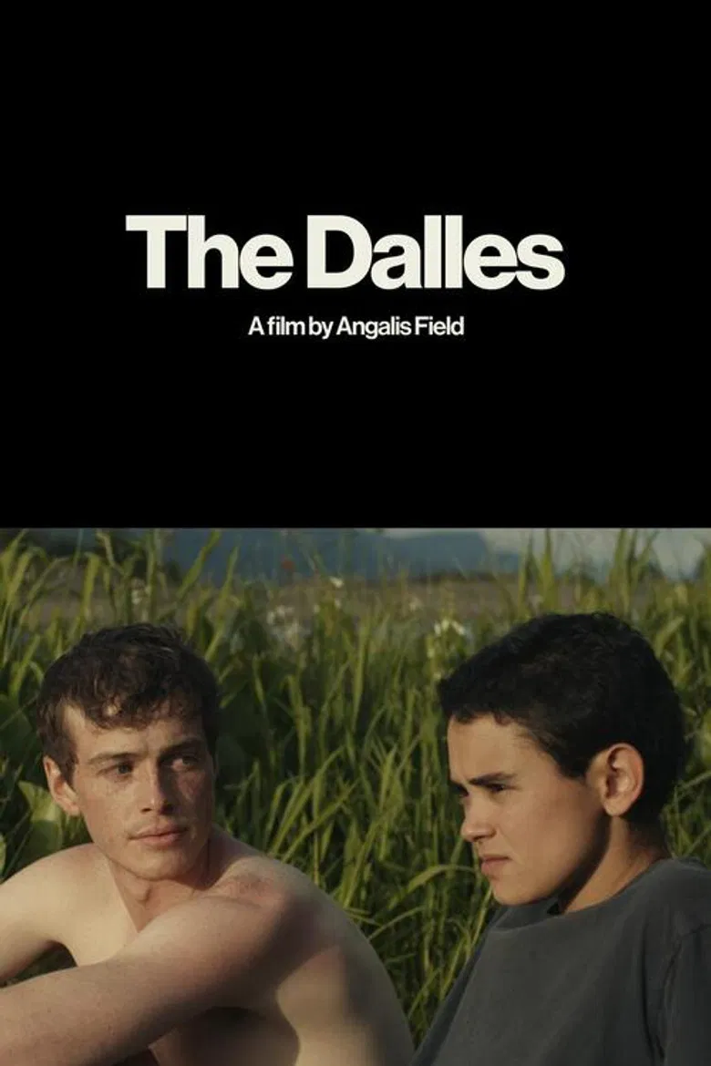 The Dalles poster background