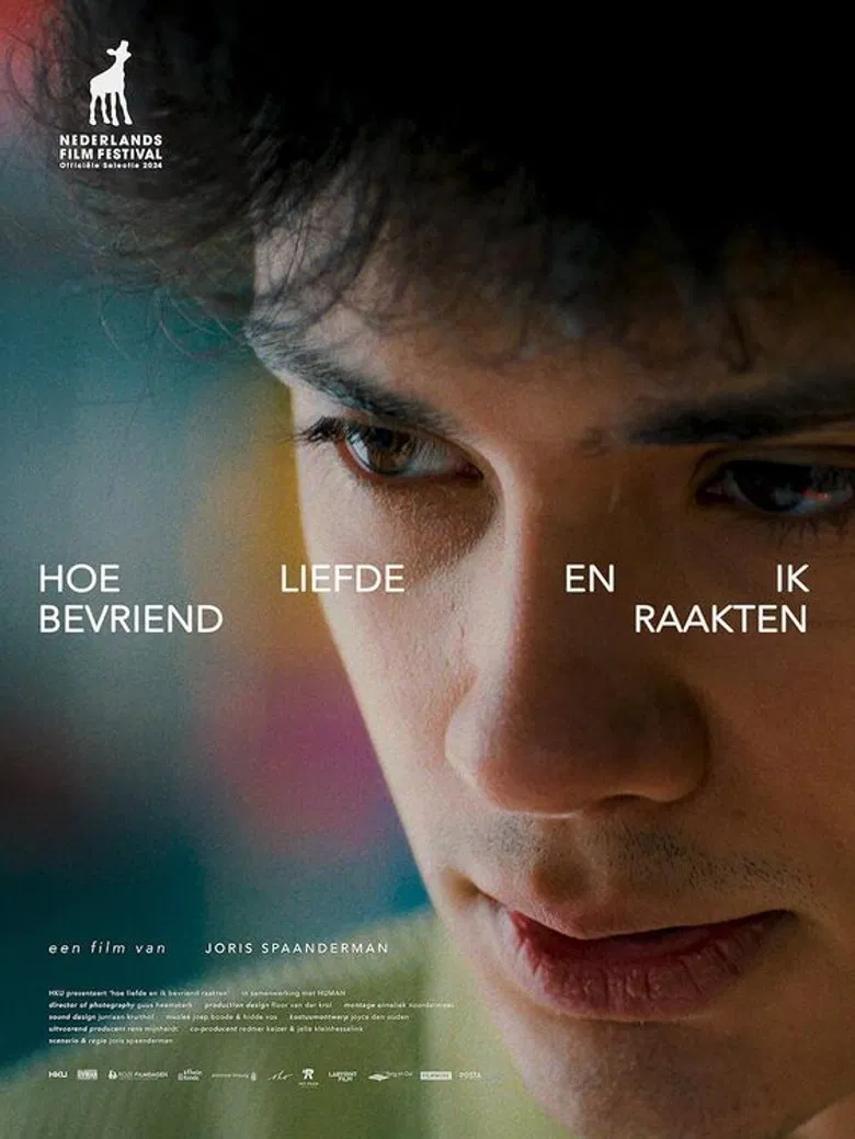 The Halation of Love poster background