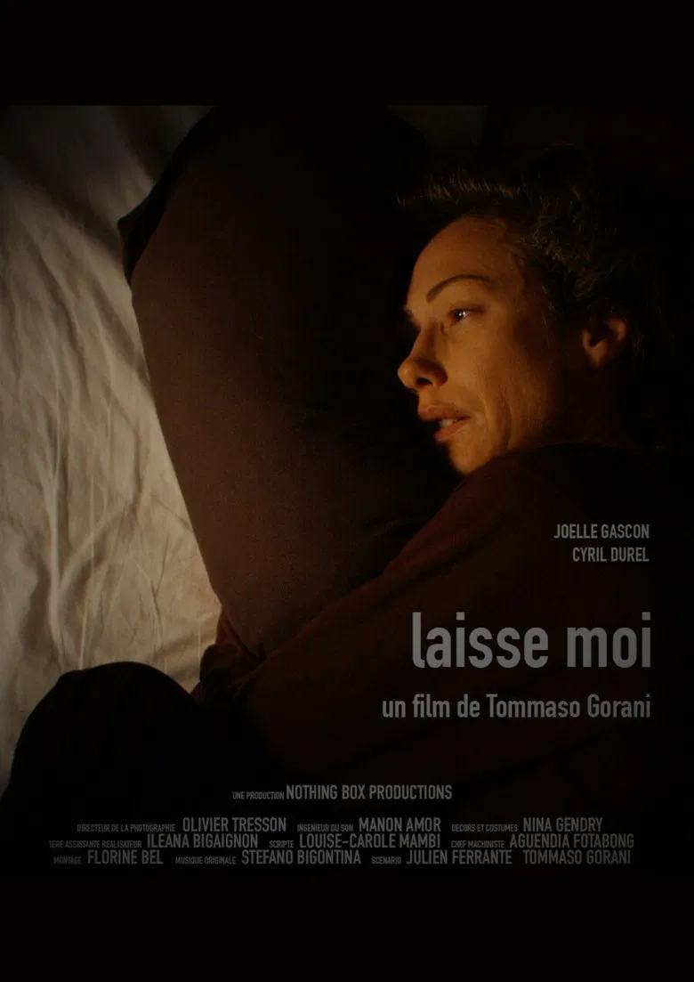 Laisse Moi poster background