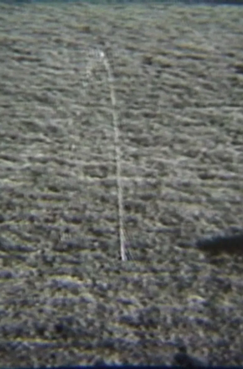 Fountain/Car poster background