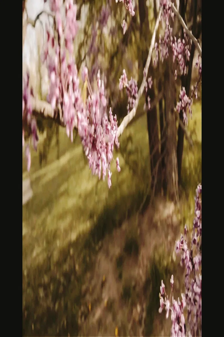 3/1 and 3/3 (Bountiful Gems) poster background