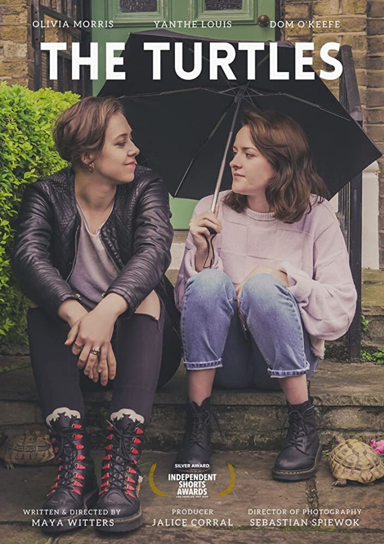 The Turtles poster background