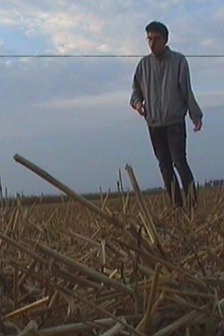 The Roots Of The Horizon poster background