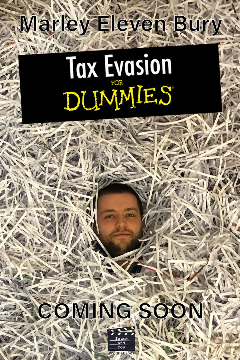 Tax Evasion for Dummies poster background
