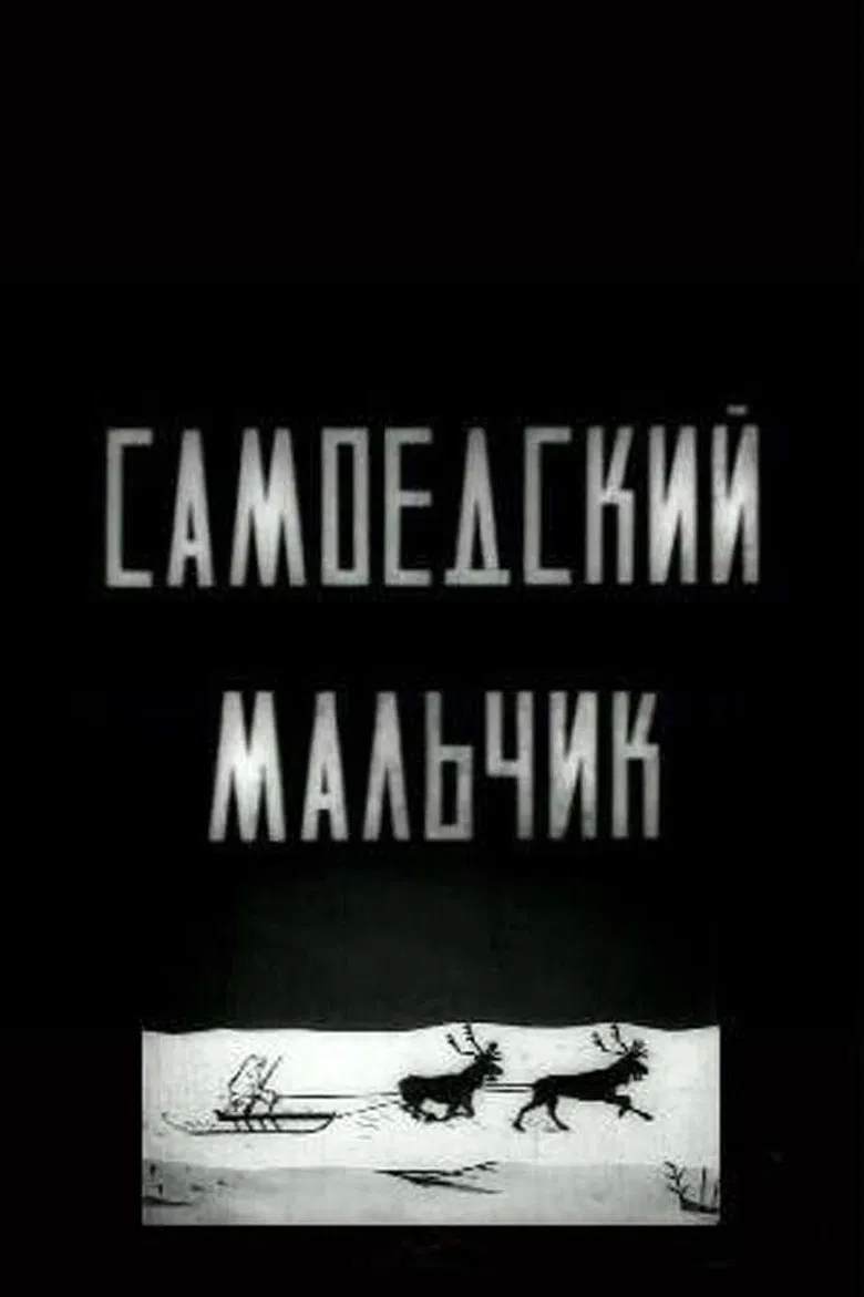 Samoyed Boy poster background