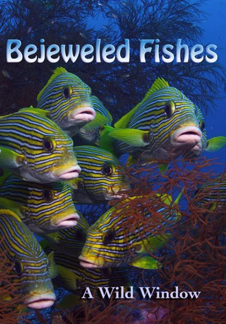 Wild Window: Bejeweled Fishes poster background