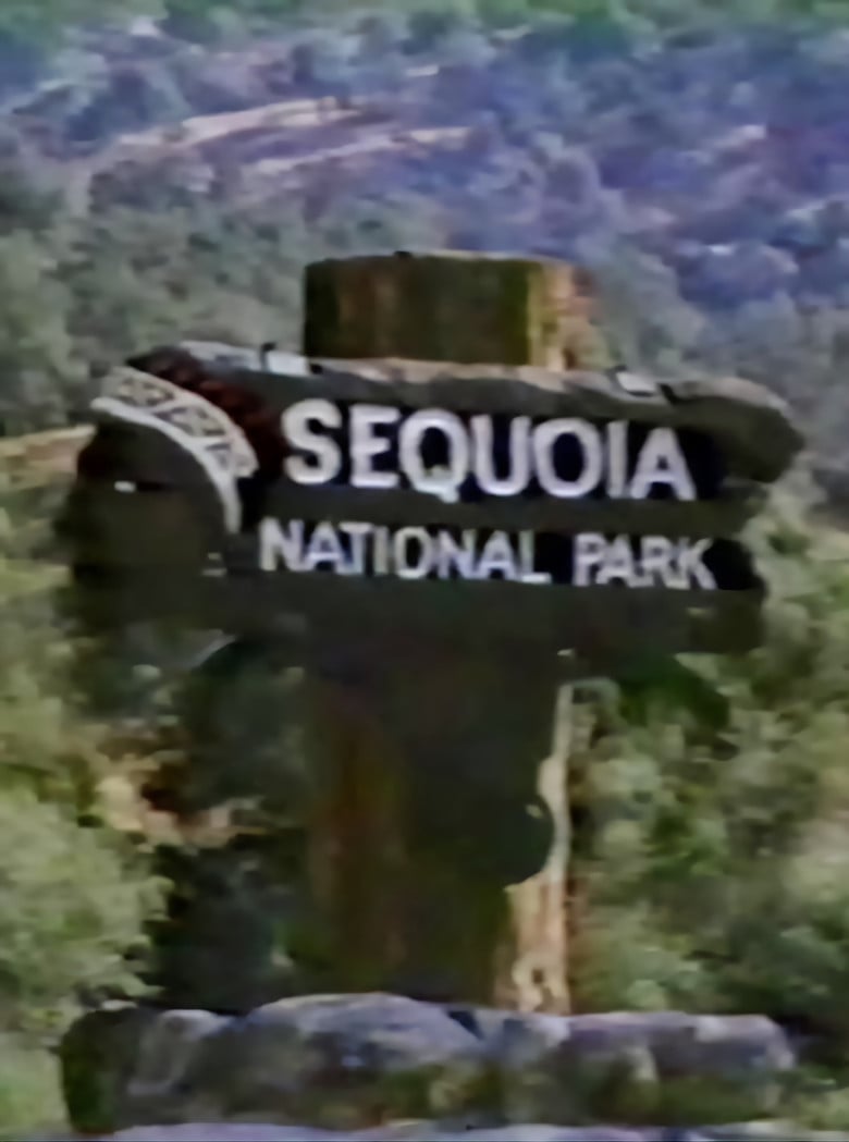 One Day On Beetle Rock poster background