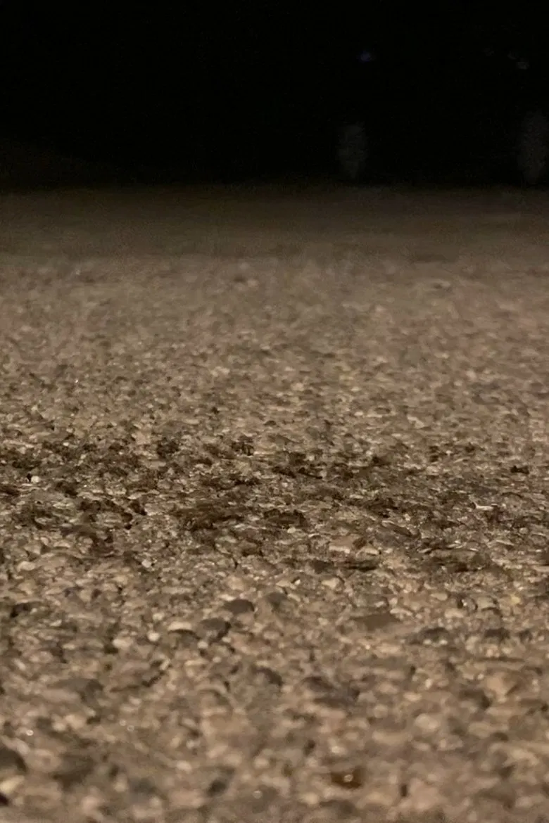 Snails Steadily Stroll the Street 2: Diligent Dirt-Dwellers Dash (Snails Steadily Stroll Lenin Nightcore Remix) poster background