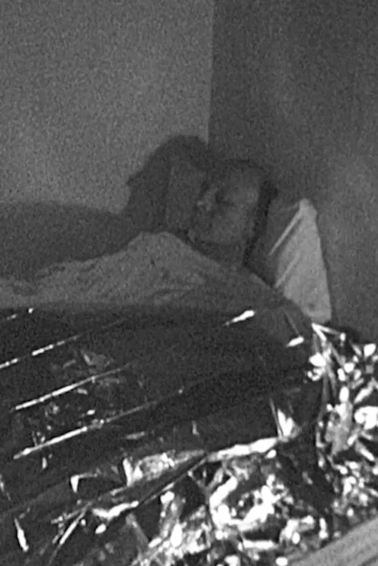 Ieva & Dainis Crack the Code poster background