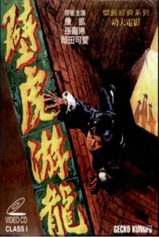 Gecko Kung Fu poster background