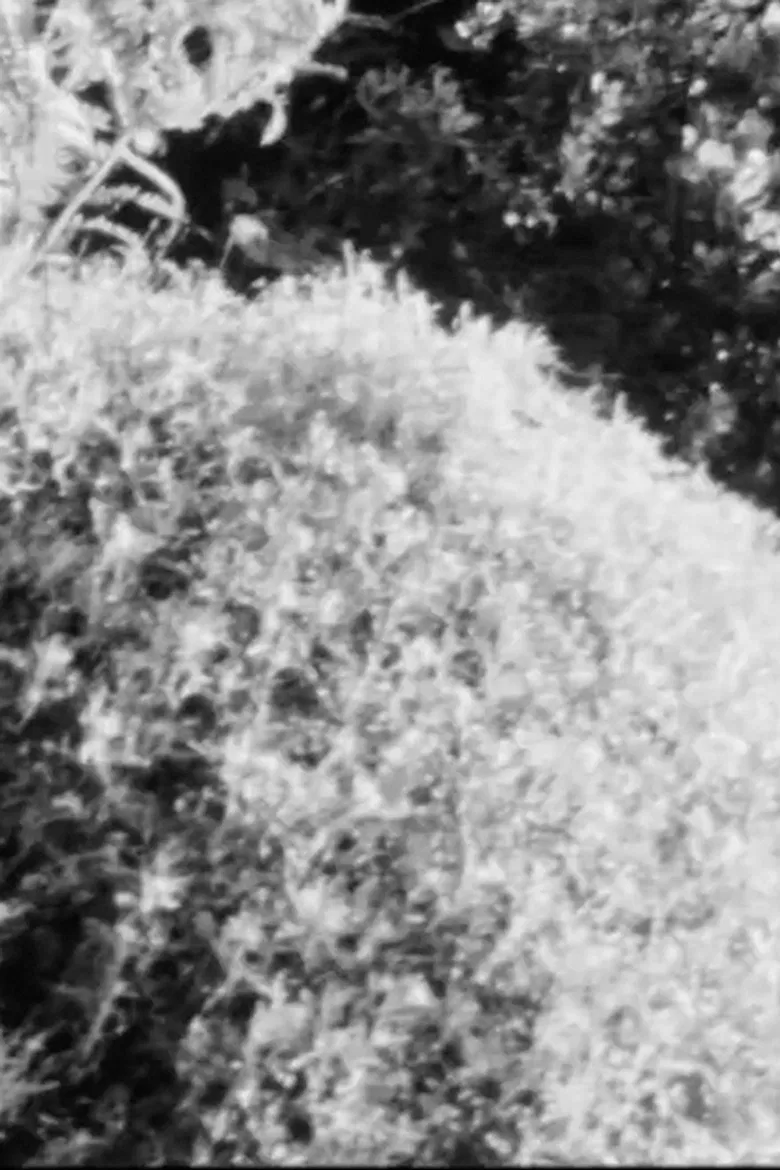 Sketch Film #5 poster background