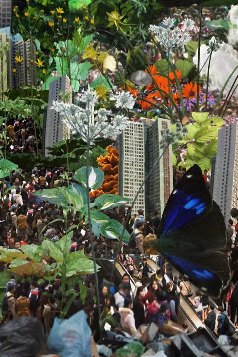 Panorama poster background