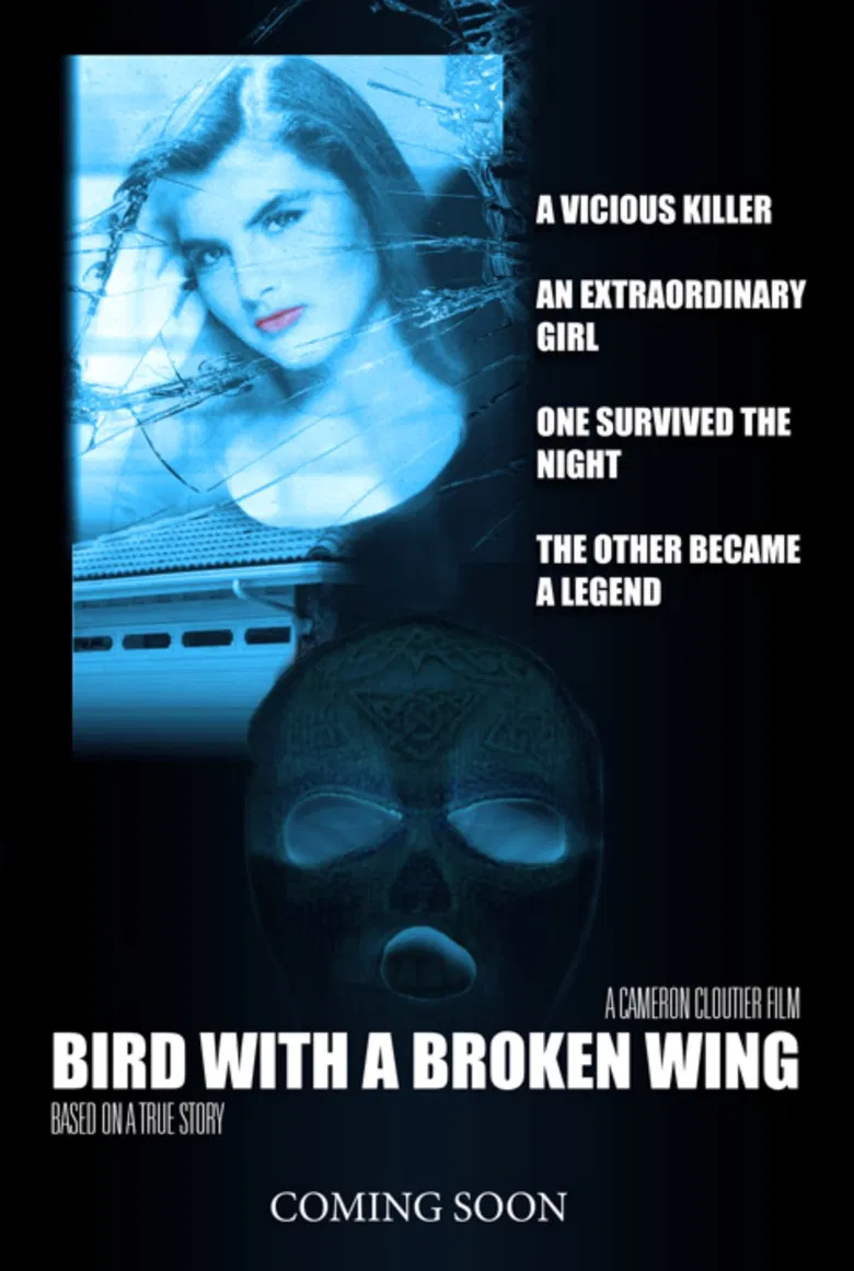 Bird with a broken wing poster background