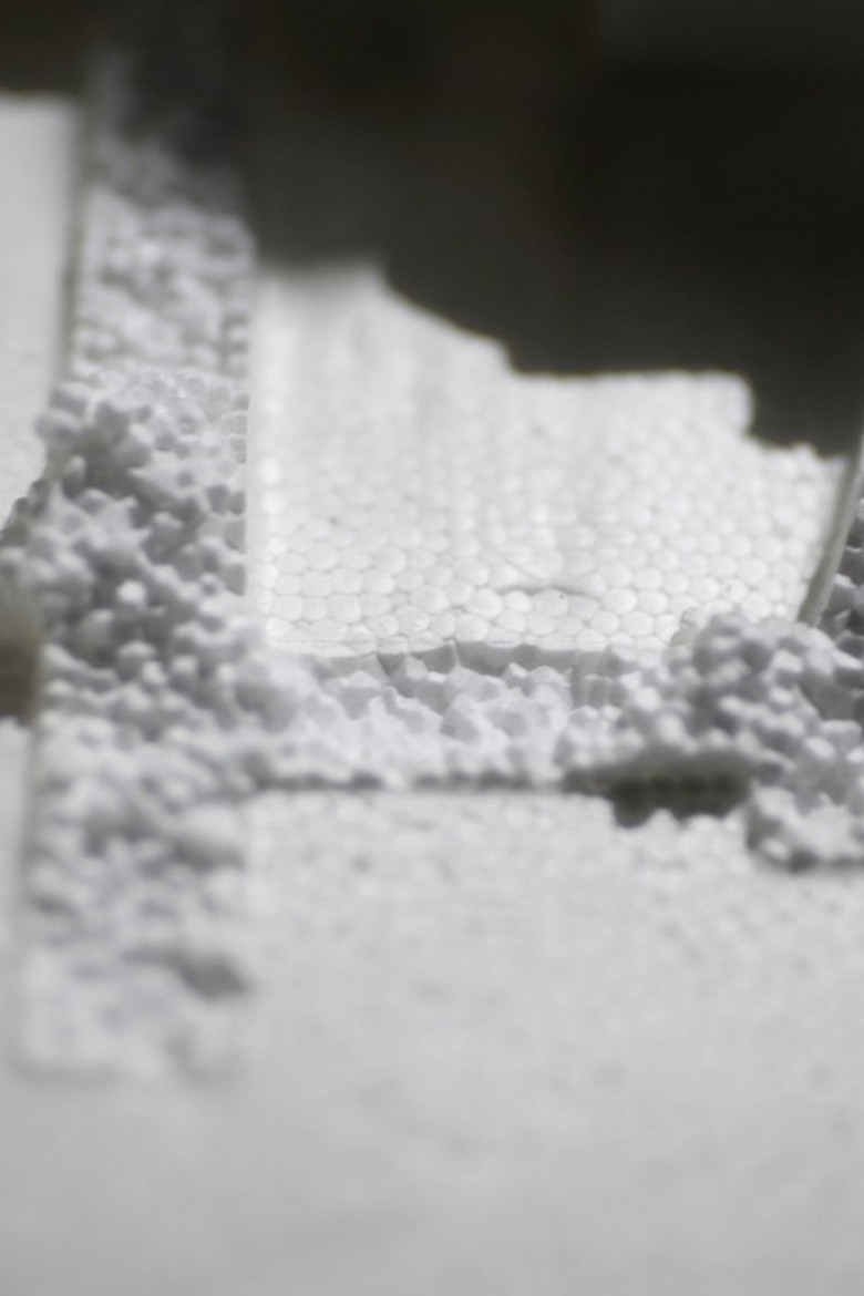 Tenebrio molitor poster background