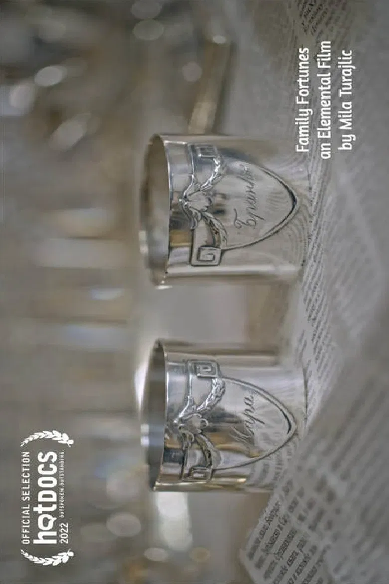 Family Fortunes poster background