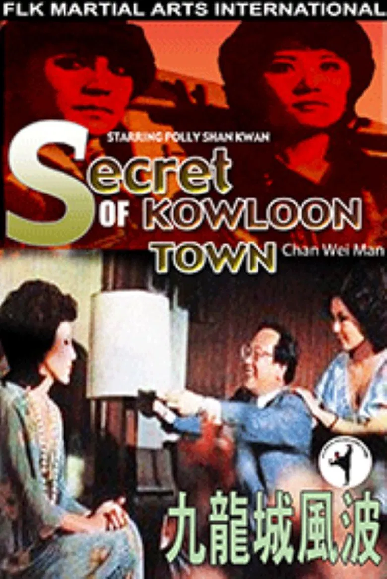 Secret of Kowloon Town poster background