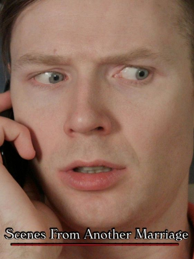 Scenes from Another Marriage poster background