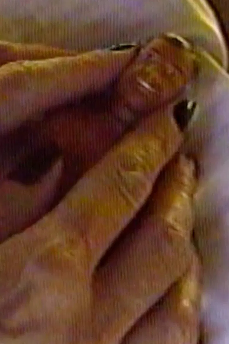 Webs poster background