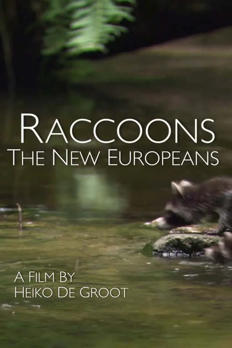 Raccoons: The New Europeans poster background