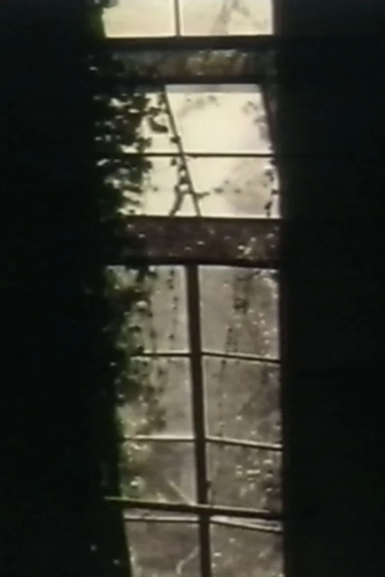 See Through The Shadow Of Darkness poster background