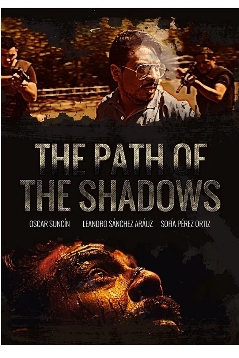 The path of the shadows poster background