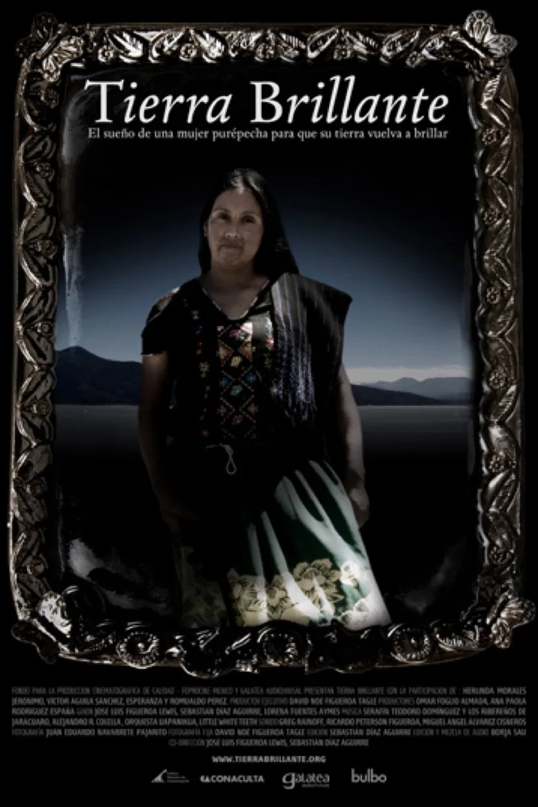 Brilliant Soil poster background