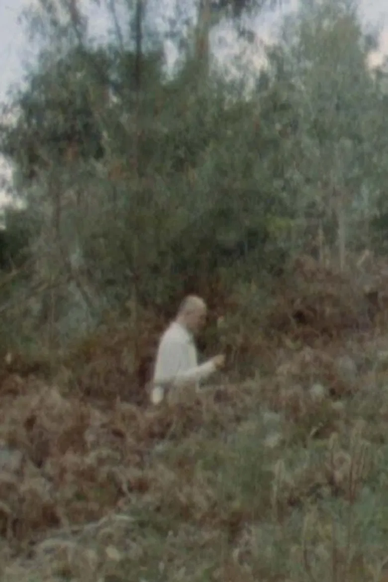 Whale Beards poster background