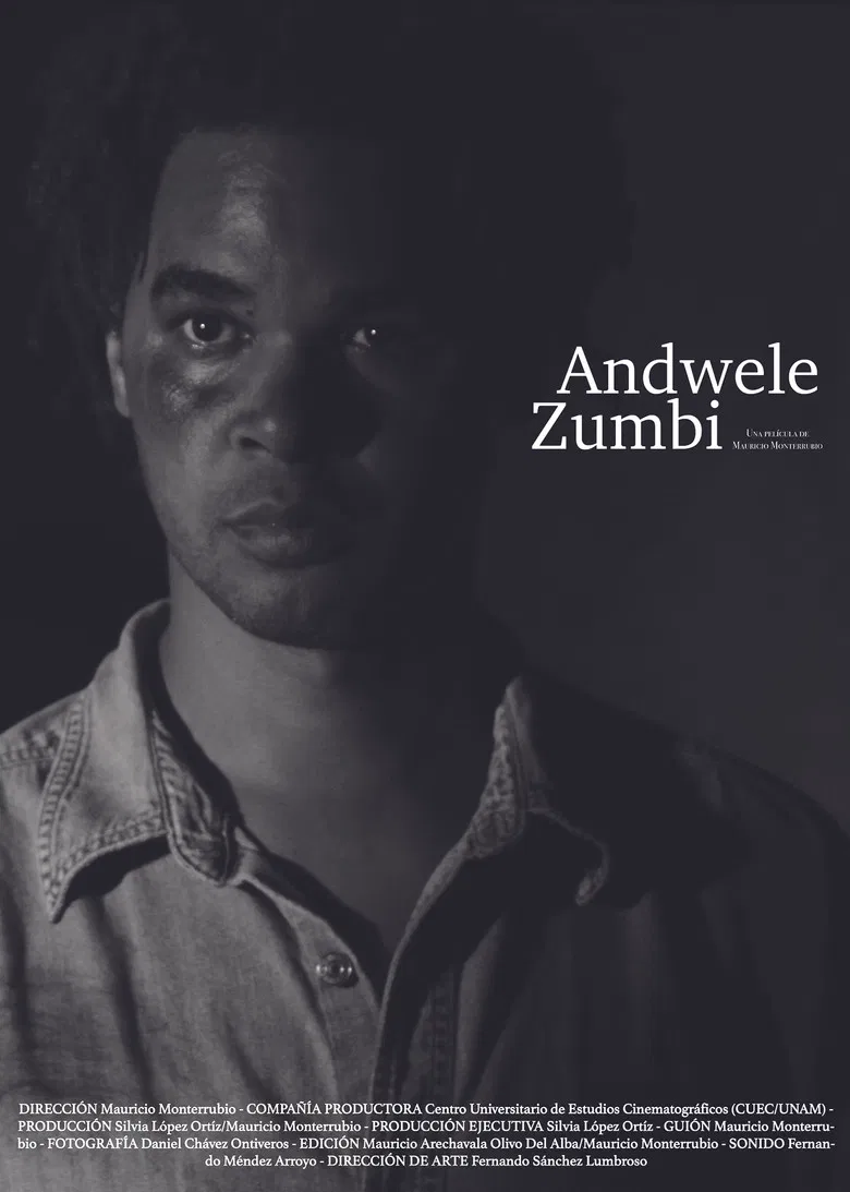 Andwele/Zumbi poster background
