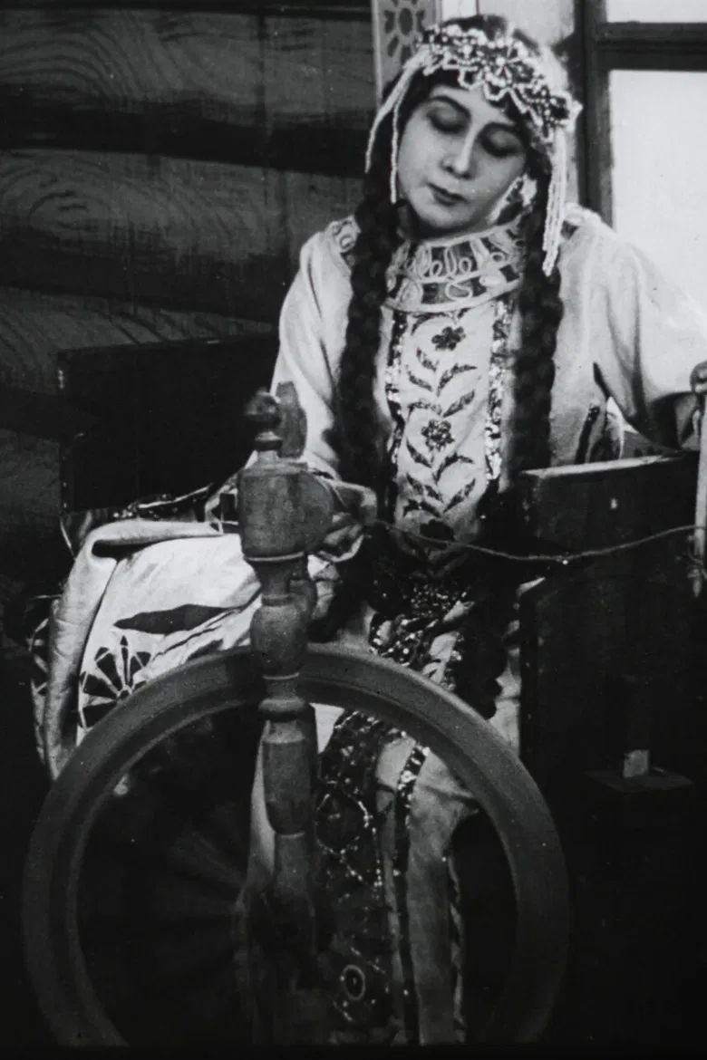 The Tale of the Sleeping Princess and the Seven Knights poster background