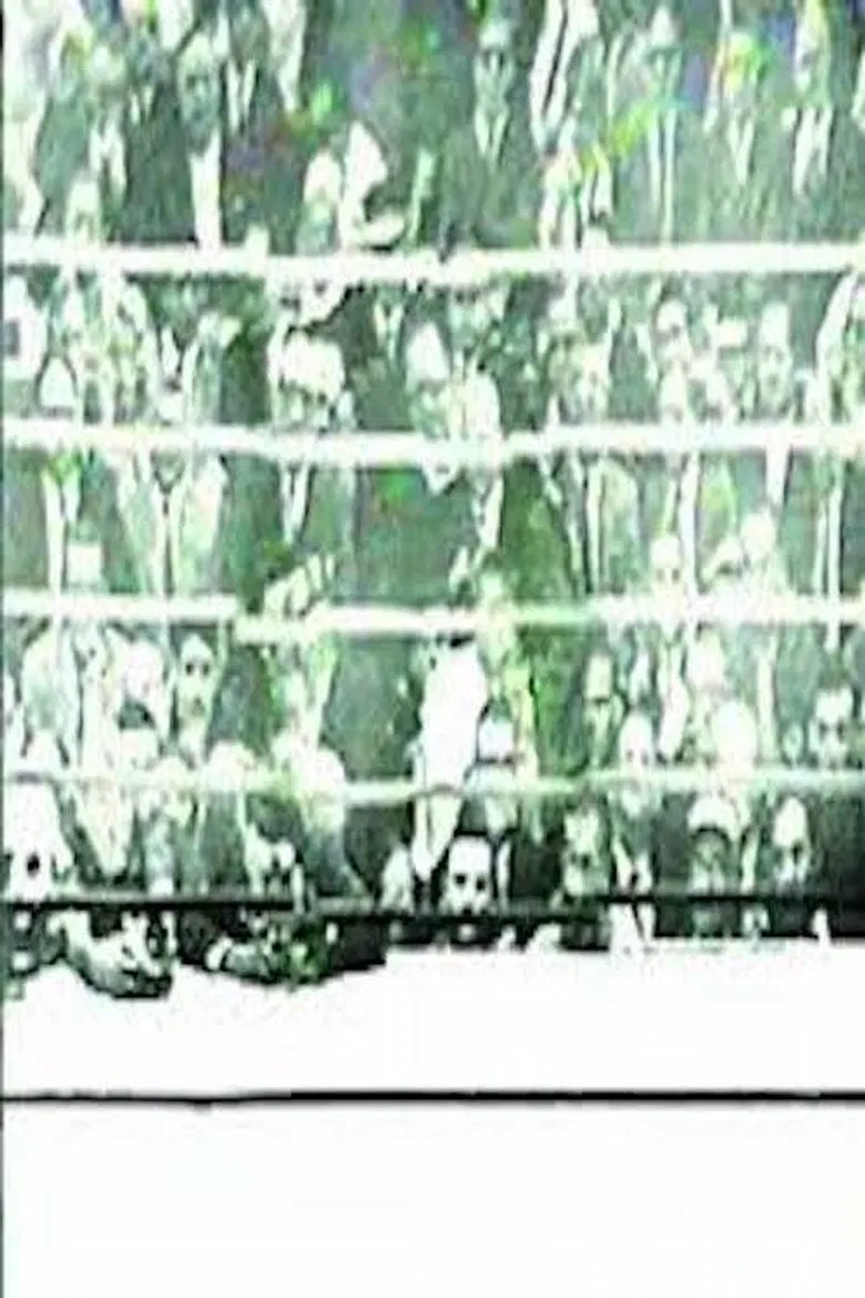 The Long Count (I Shook Up The World) poster background