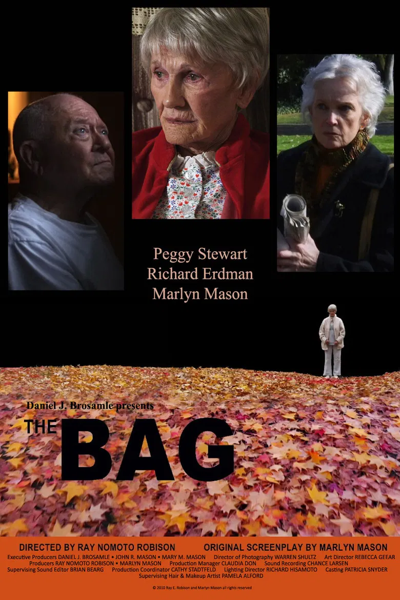 The Bag poster background