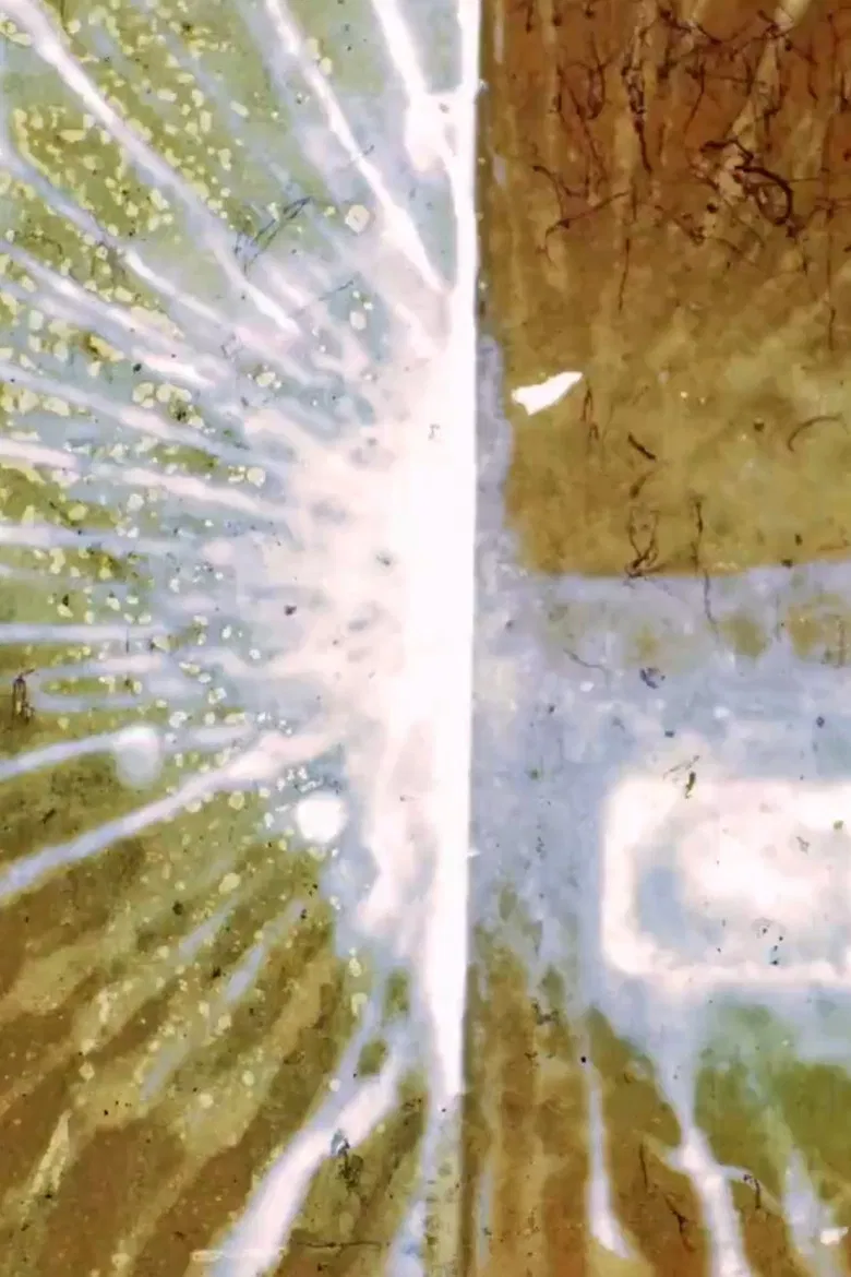 Destellos poster background