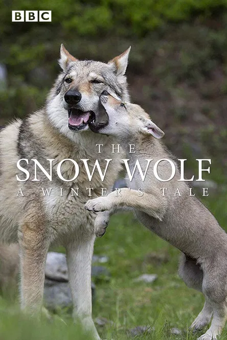 The Snow Wolf: A Winter's Tale poster background
