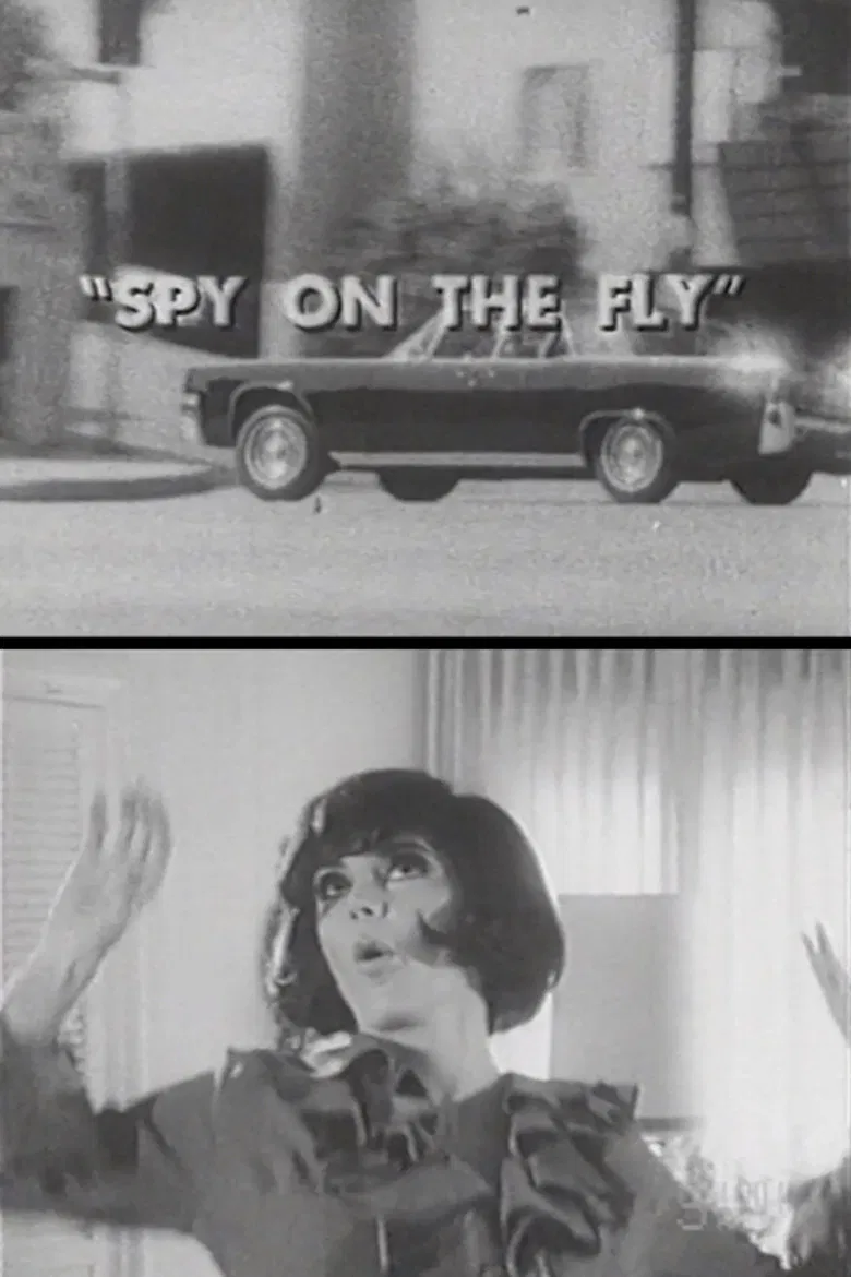 Spy on the Fly poster background