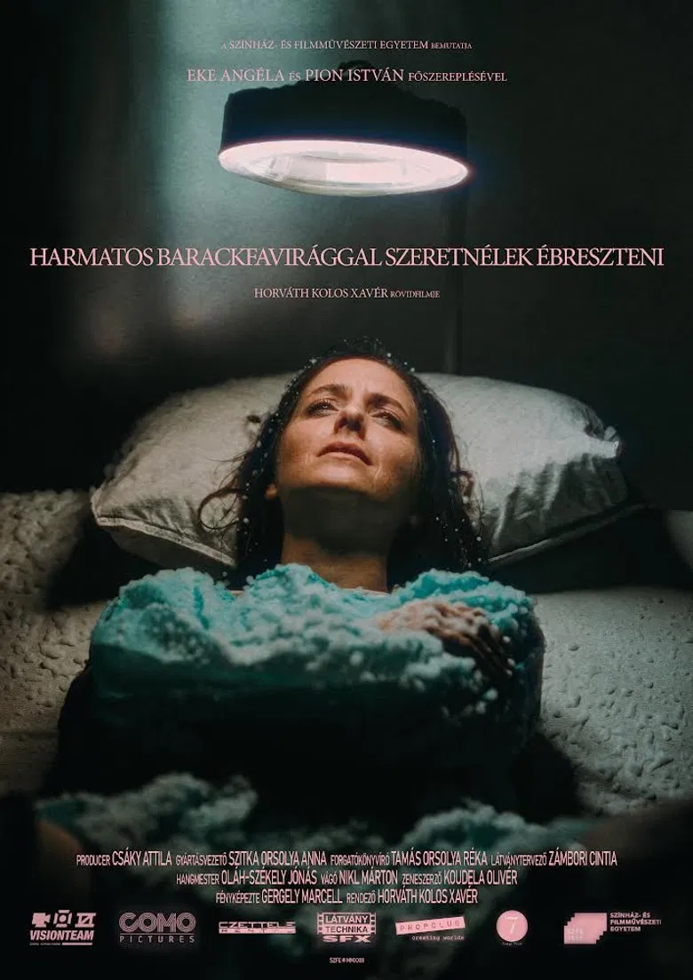 waking you with dewy peach blossoms poster background